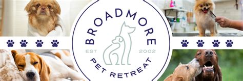 broadmoor kennel|broadmore kennels cheyenne.